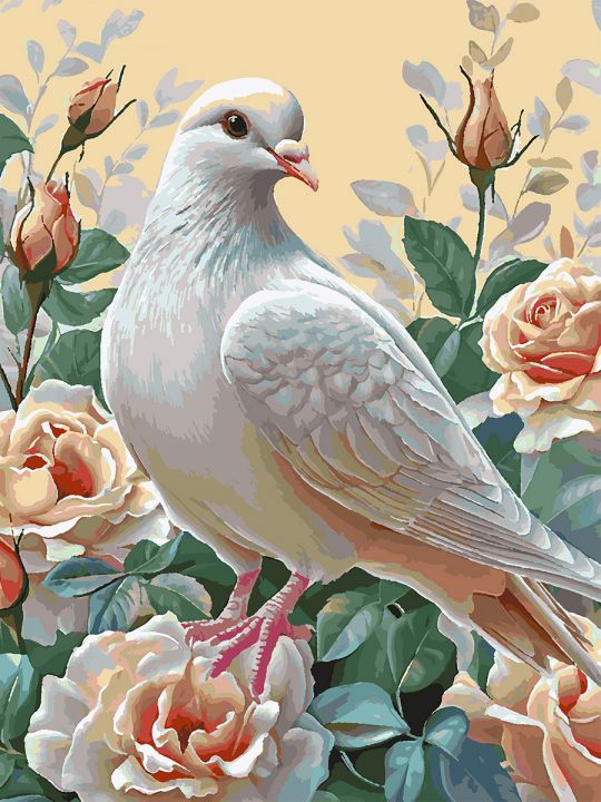 Картина по номерам без подрамника «Белая голубка» 90x70 см