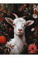 Картина по номерам без подрамника «Белая козочка» 90x70 см
