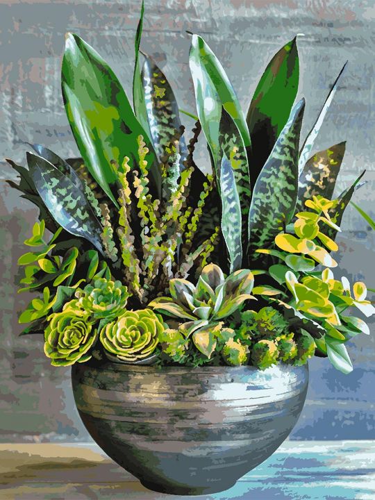 Картина по номерам без подрамника «Суккуленты» 130x100 см