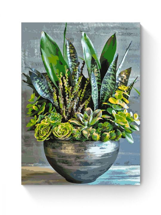 Картина по номерам на подрамнике «Суккуленты» 90x70 см