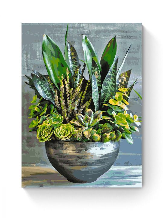 Картина по номерам на подрамнике «Суккуленты» 80x60 см