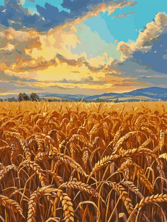 Картина по номерам без подрамника «Поле пшеницы» 130x100 см