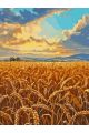 Картина по номерам без подрамника «Поле пшеницы» 130x100 см