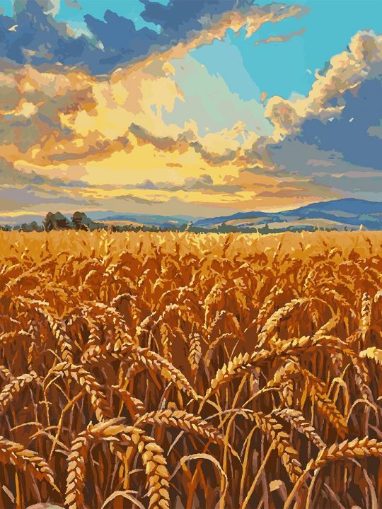 Картина по номерам без подрамника «Поле пшеницы» 80x60 см