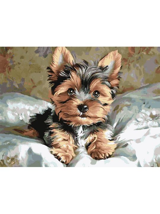 Картина по номерам без подрамника «Йорк щенок» 90x70 см