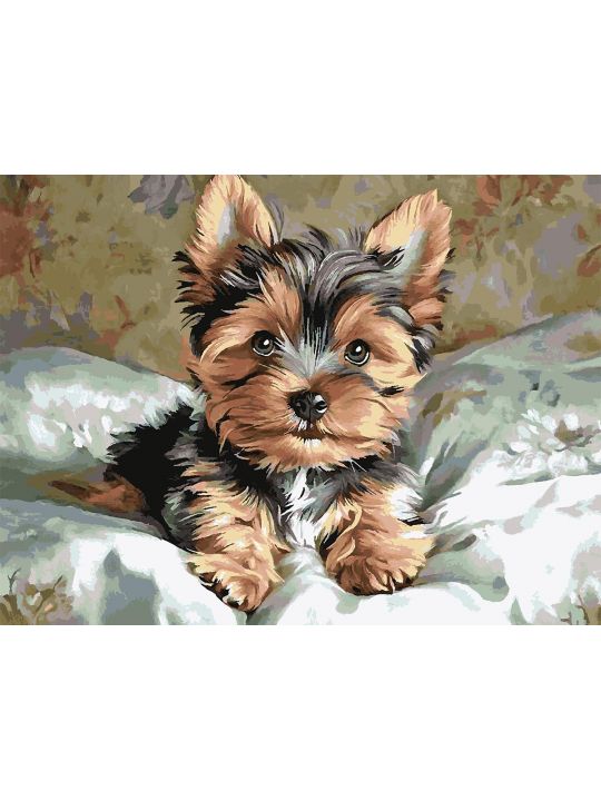 Картина по номерам без подрамника «Йорк щенок» 130x100 см