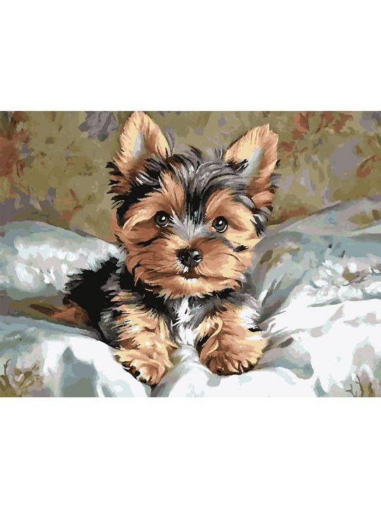 Картина по номерам без подрамника «Йорк щенок» 80x60 см