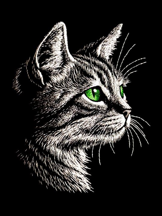 Алмазная мозаика без подрамника «Кошачий глаз» 70x50 см