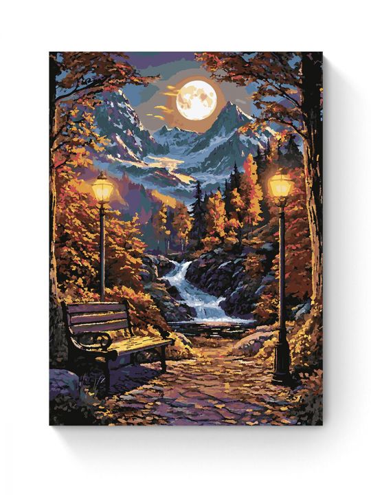 Картина по номерам на подрамнике «Ночной парк» 80x60 см