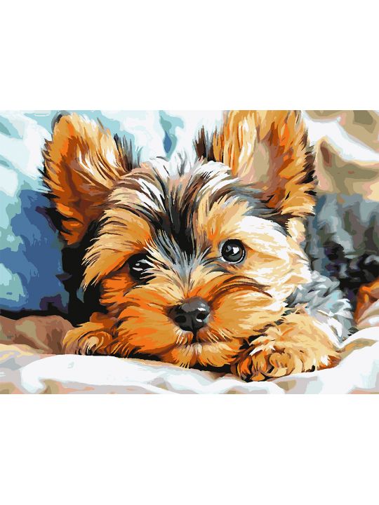 Картина по номерам без подрамника «Йорк щенок» 90x70 см