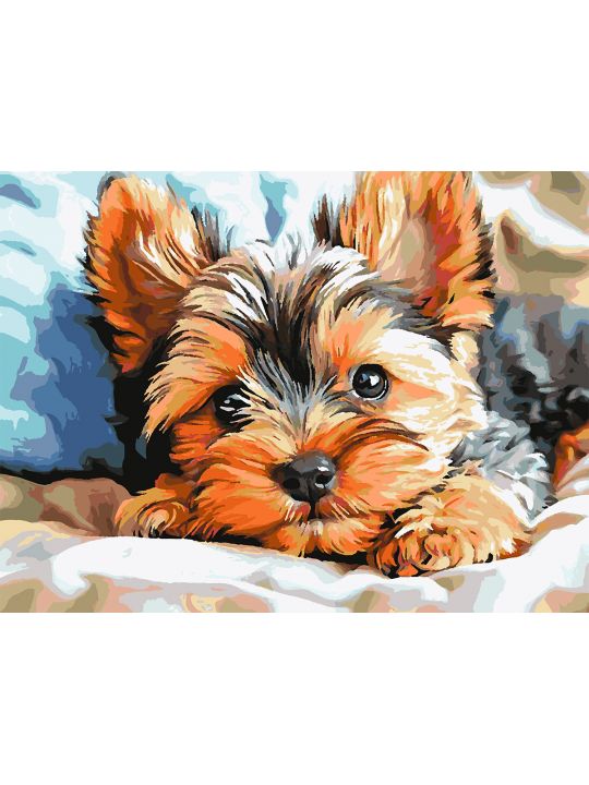 Картина по номерам без подрамника «Йорк щенок» 80x60 см