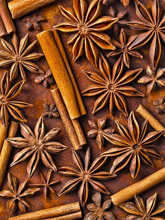 Алмазная мозаика без подрамника «Корица и бадьян» 25x20 см