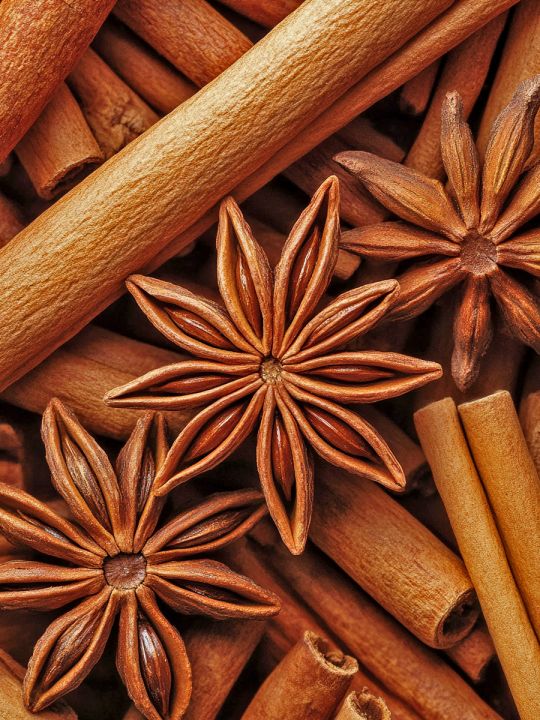 Алмазная мозаика без подрамника «Специи» 25x20 см