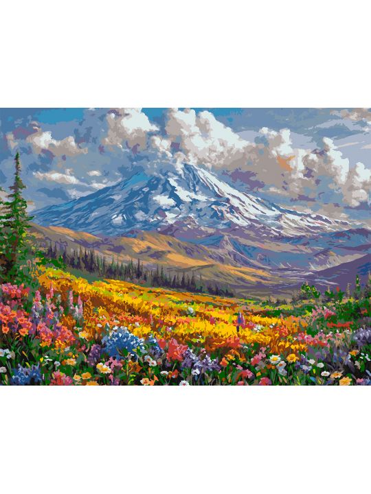Картина по номерам без подрамника «Горная долина» 130x100 см