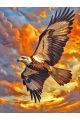 Алмазная мозаика без подрамника «Орлиная охота» 25x20 см