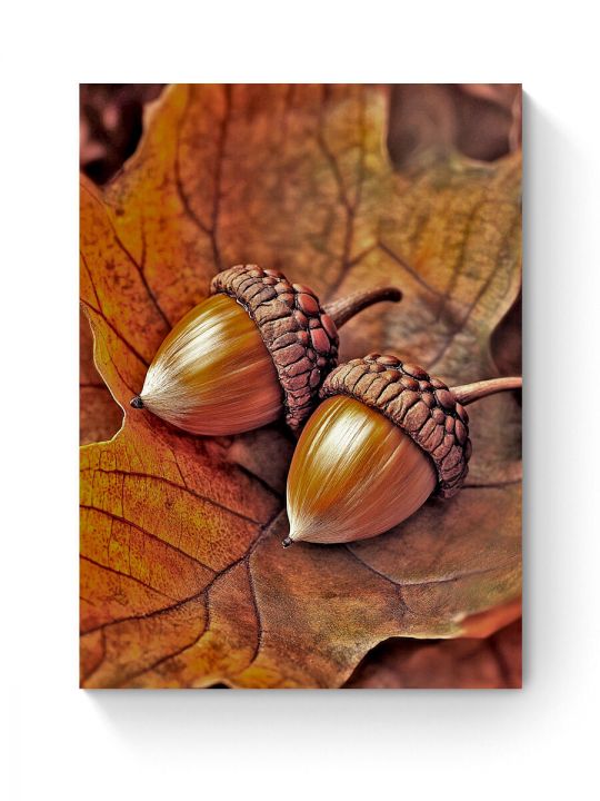 Алмазная мозаика на подрамнике «Дары осени» 35x25 см