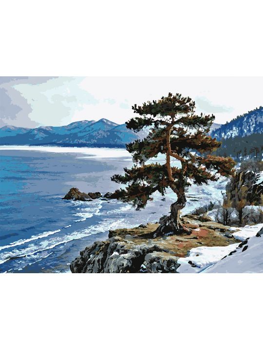 Картина по номерам без подрамника «Кедр на скале» 130x100 см