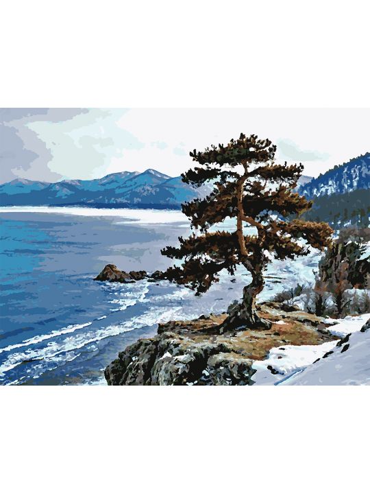 Картина по номерам без подрамника «Кедр на скале» 80x60 см