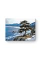 Картина по номерам на подрамнике «Кедр на скале» 90x70 см