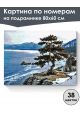 Картина по номерам на подрамнике «Кедр на скале» 80x60 см