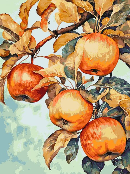 Картина по номерам без подрамника «Зрелые яблоки» 130x100 см