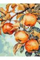 Картина по номерам без подрамника «Зрелые яблоки» 130x100 см