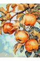 Картина по номерам на подрамнике «Зрелые яблоки» 80x60 см