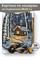 Картина по номерам на подрамнике «Береста» 80x60 см
