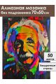Алмазная мозаика без подрамника «Эйнштейн» 70x50 см