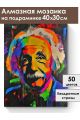 Алмазная мозаика на подрамнике «Эйнштейн» 40x30 см
