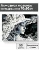 Алмазная мозаика на подрамнике «Черно белое» 70x50 см