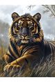 Алмазная мозаика без подрамника «Золотой тигр» 50x40 см