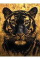 Алмазная мозаика без подрамника «Золотой тигр» 80x60 см