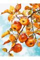 Картина по номерам на подрамнике «Яблочки» 90x70 см