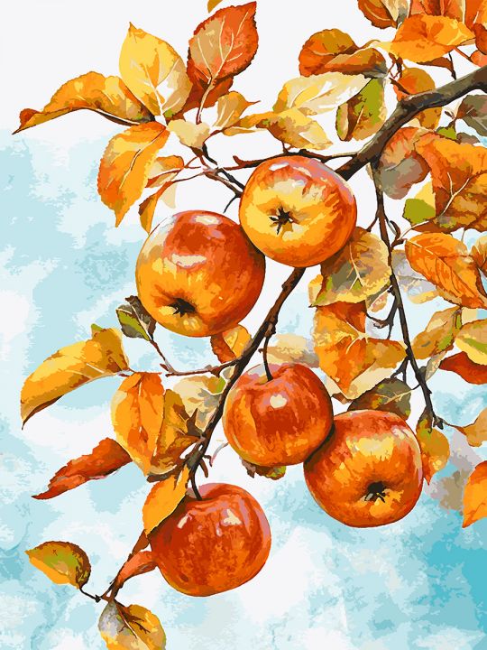 Картина по номерам без подрамника «Яблочки» 130x100 см