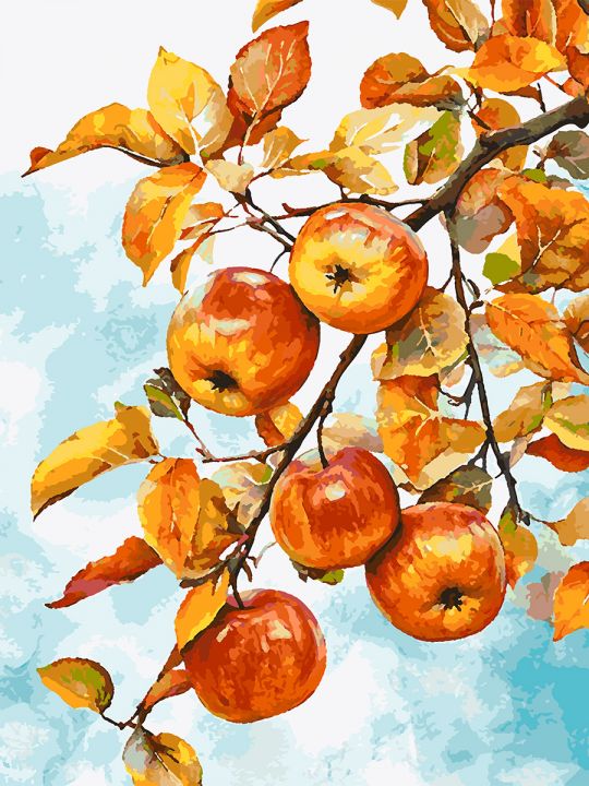 Картина по номерам без подрамника «Яблочки» 80x60 см