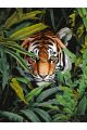 Картина по номерам без подрамника «Тигр в засаде» 90x70 см