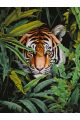 Картина по номерам без подрамника «Тигр в засаде» 130x100 см