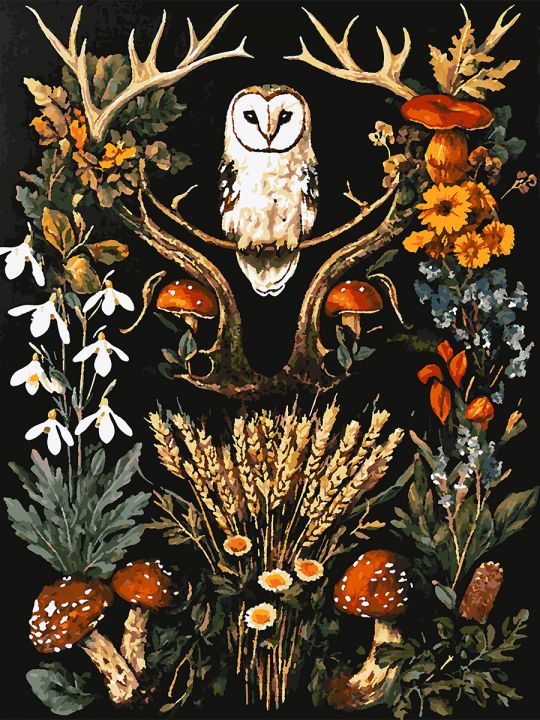 Картина по номерам без подрамника «Загадка леса» 80x60 см