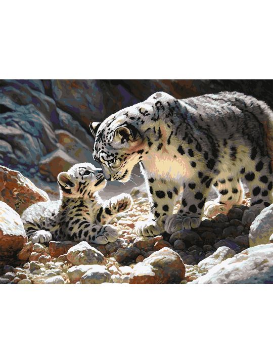 Картина по номерам без подрамника «Снежные барсы» 130x100 см