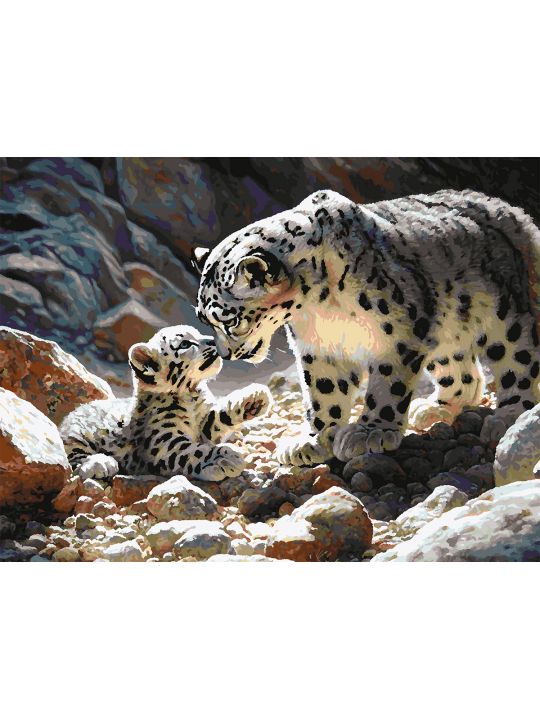 Картина по номерам без подрамника «Снежные барсы» 80x60 см