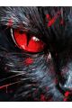 Алмазная мозаика без подрамника «Черный кот» 35x25 см