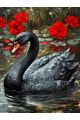 Алмазная мозаика без подрамника «Черный лебедь» 80x60 см