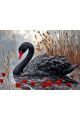 Алмазная мозаика без подрамника «Черный лебедь» 80x60 см