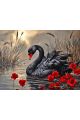 Алмазная мозаика без подрамника «Черный лебедь» 25x20 см