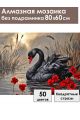 Алмазная мозаика без подрамника «Черный лебедь» 80x60 см