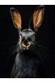 Алмазная мозаика без подрамника «Черный кролик» 130x100 см