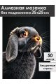Алмазная мозаика без подрамника «Черный кролик» 35x25 см