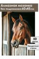 Алмазная мозаика без подрамника «Жеребец» 60x45 см