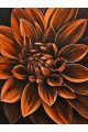 Алмазная мозаика без подрамника «Георгин» 90x70 см